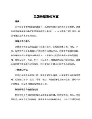 品牌推荐宣传方案
