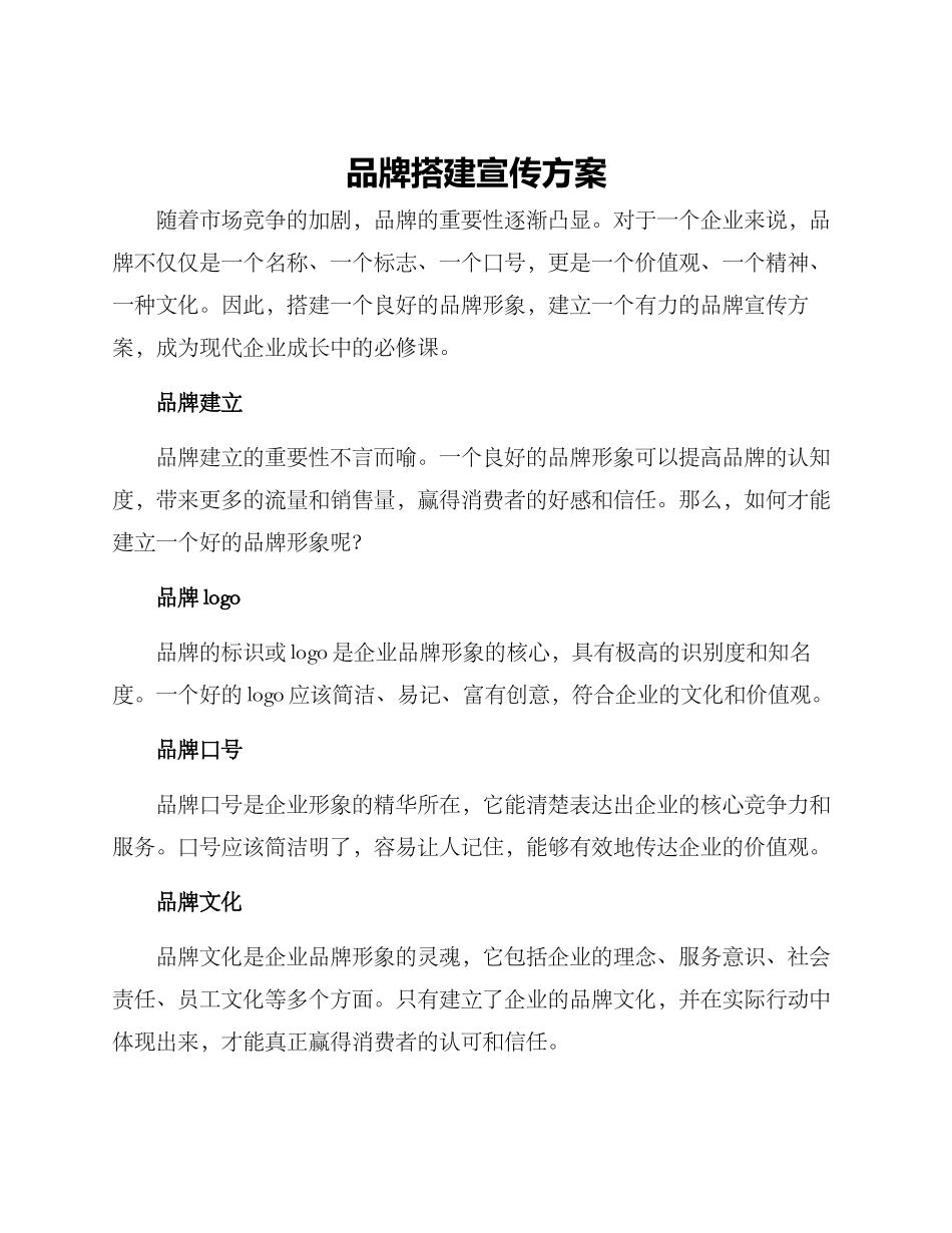 品牌搭建宣传方案_第1页
