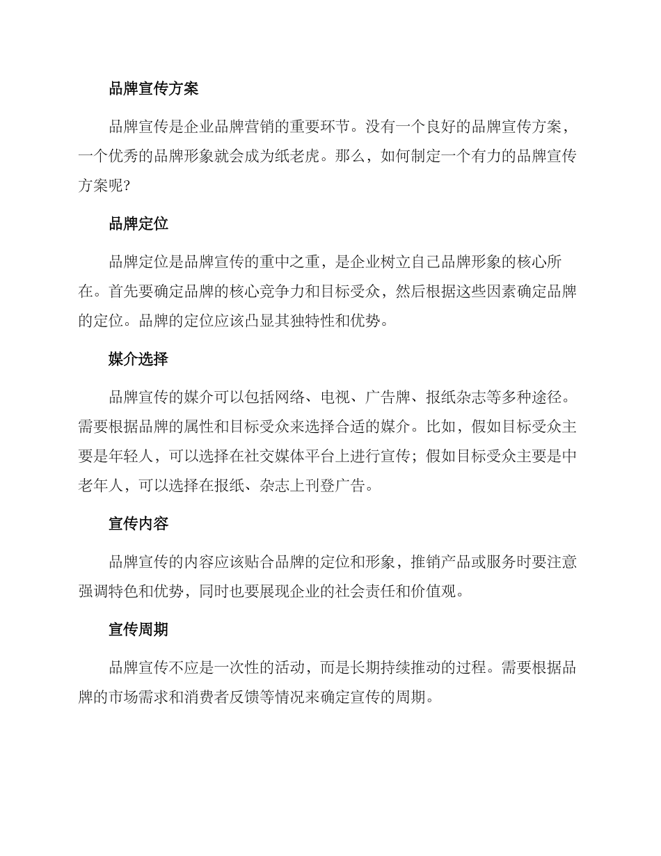 品牌搭建宣传方案_第2页