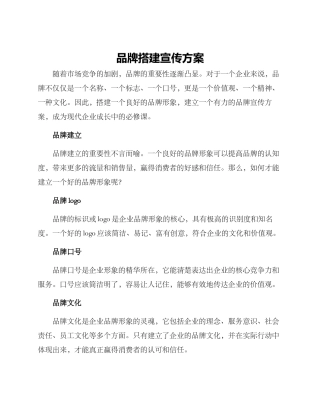 品牌搭建宣传方案