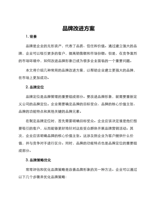 品牌改进方案