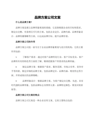 品牌方案公司文案