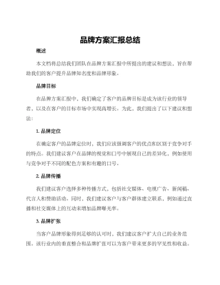 品牌方案汇报总结