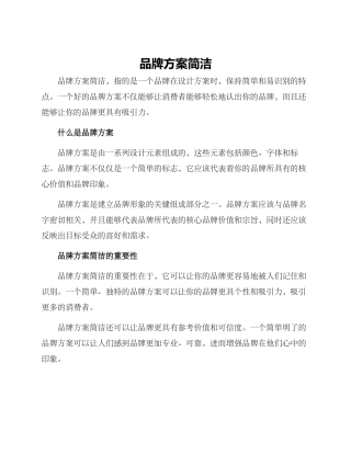 品牌方案简洁