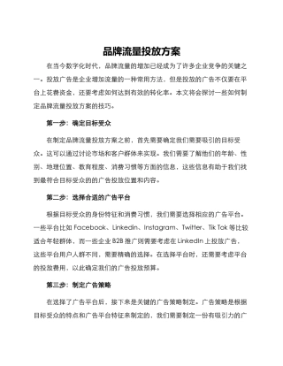品牌流量投放方案