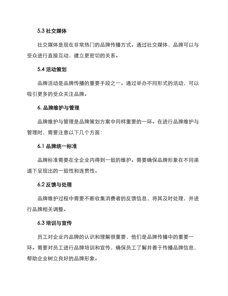 品牌策划年度方案_第3页