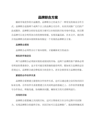 品牌联合方案