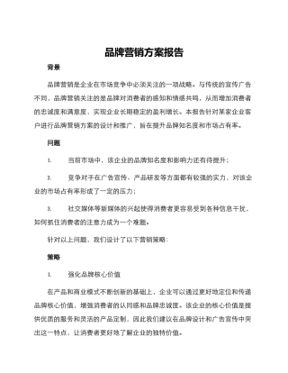 品牌营销方案报告