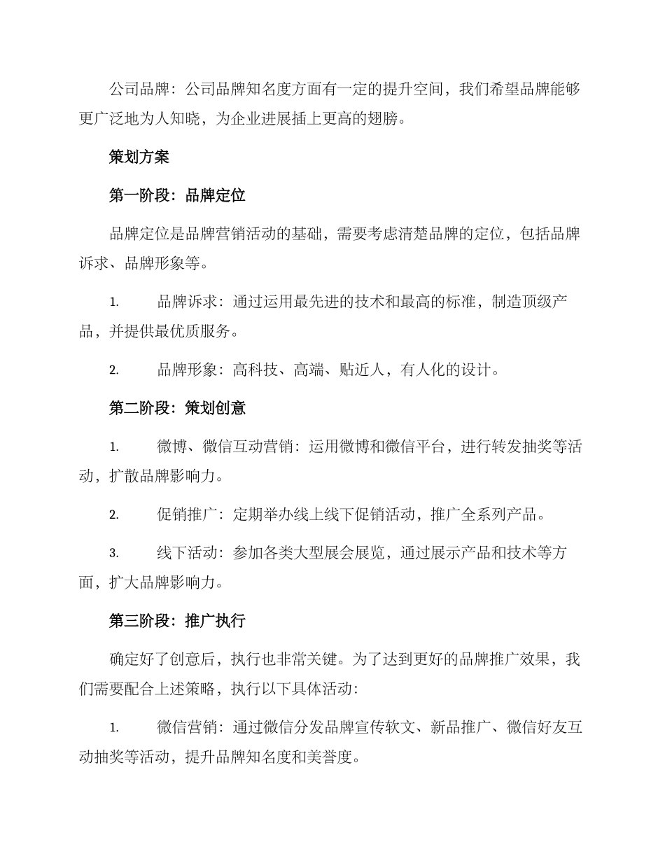 品牌营销活动策划方案_第2页