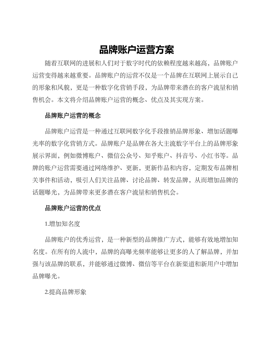 品牌账户运营方案_第1页