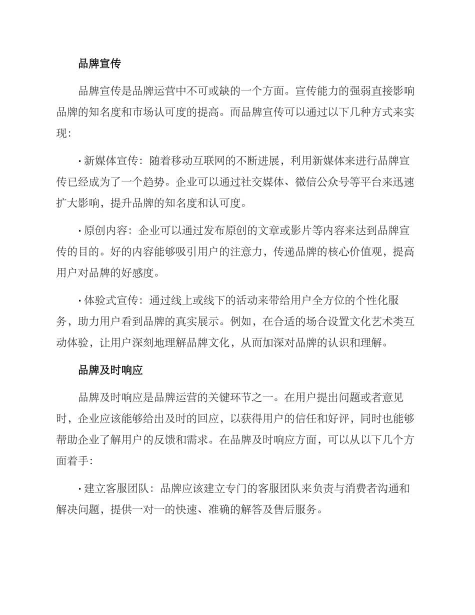 品牌运营思路方案_第2页