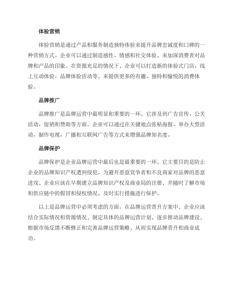 品牌运营晋升方案_第2页