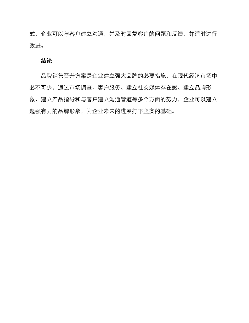 品牌销售晋升方案_第3页