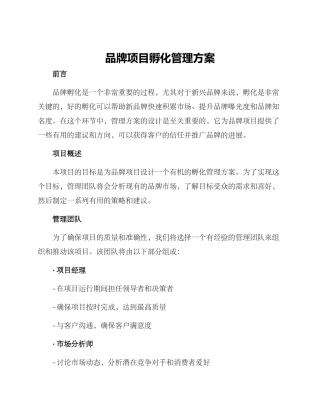 品牌项目孵化管理方案
