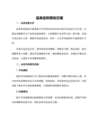 品类名称策划方案