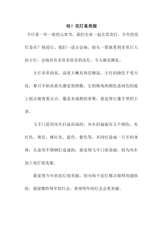 哇!花灯真美丽