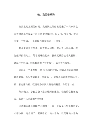 唉-我的乖乖狗