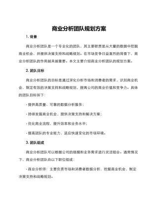 商业分析团队规划方案