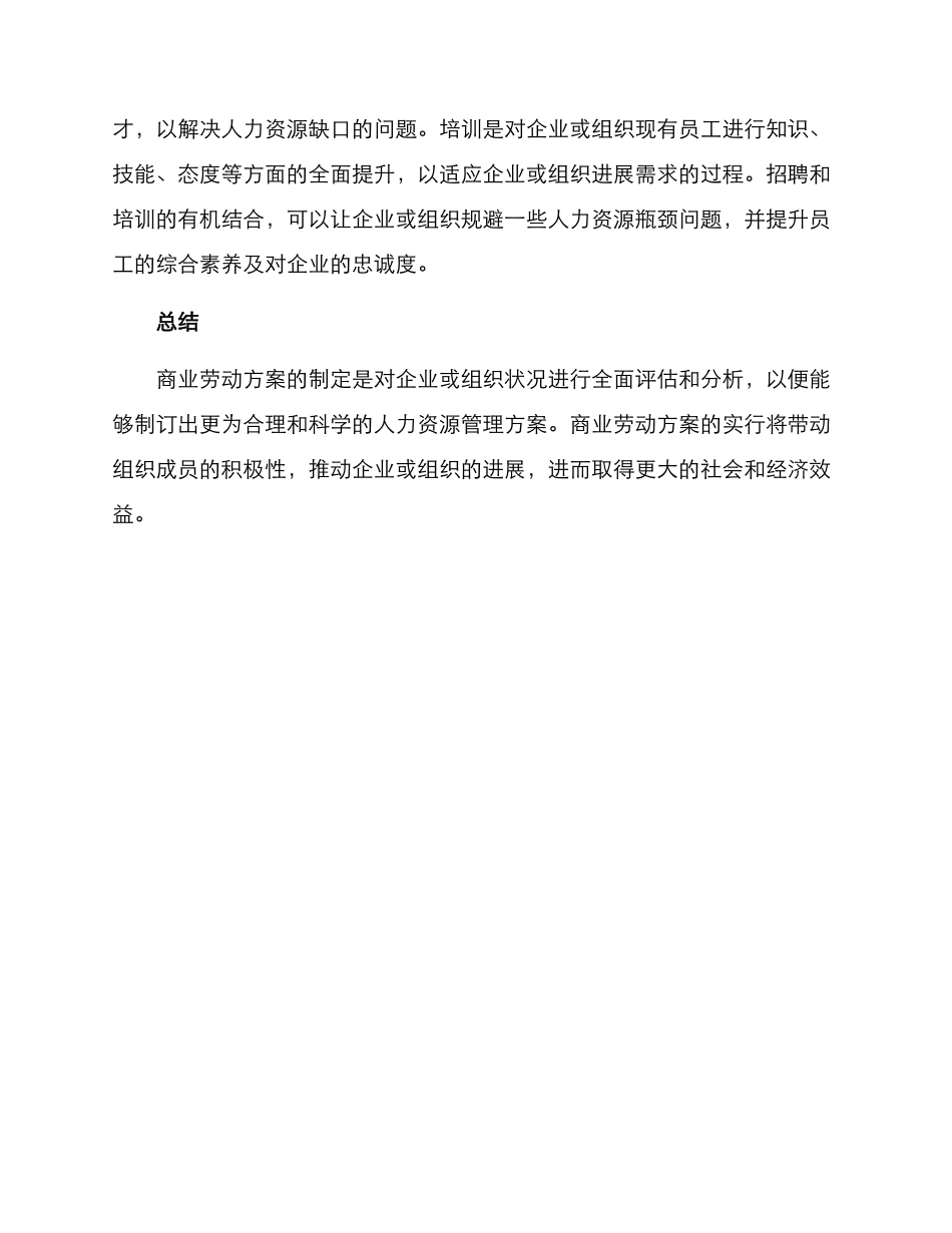 商业劳动方案_第3页