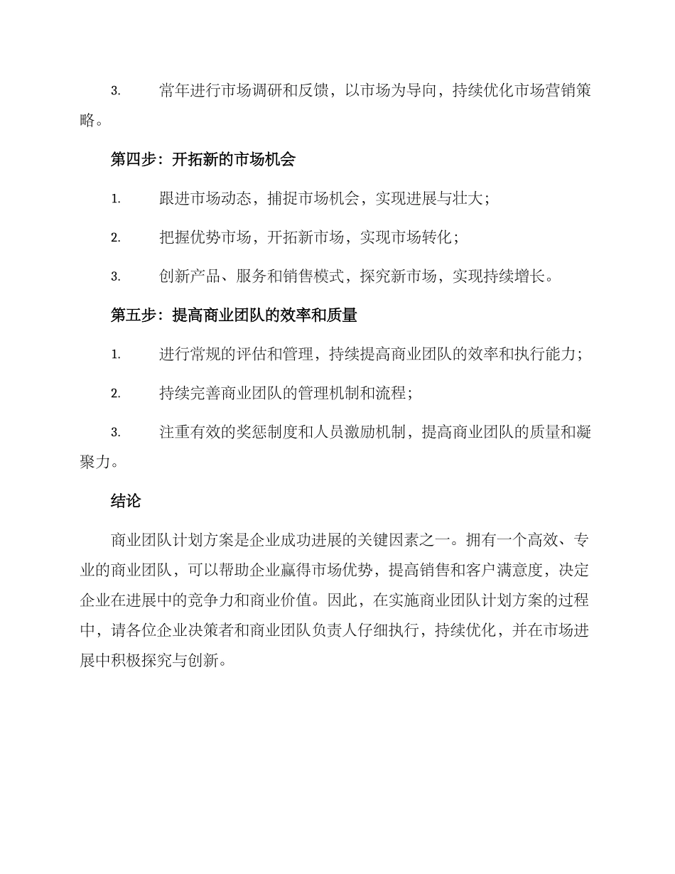 商业团队计划方案_第3页