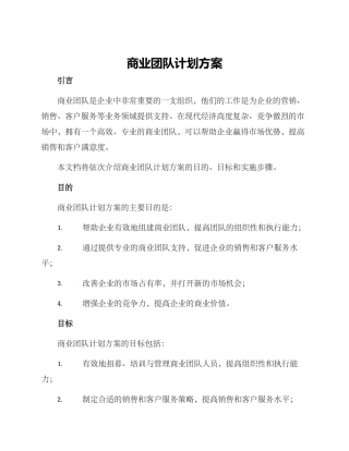 商业团队计划方案