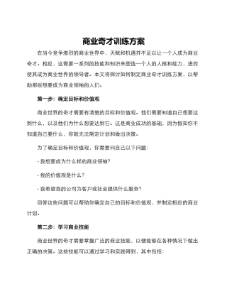 商业奇才训练方案