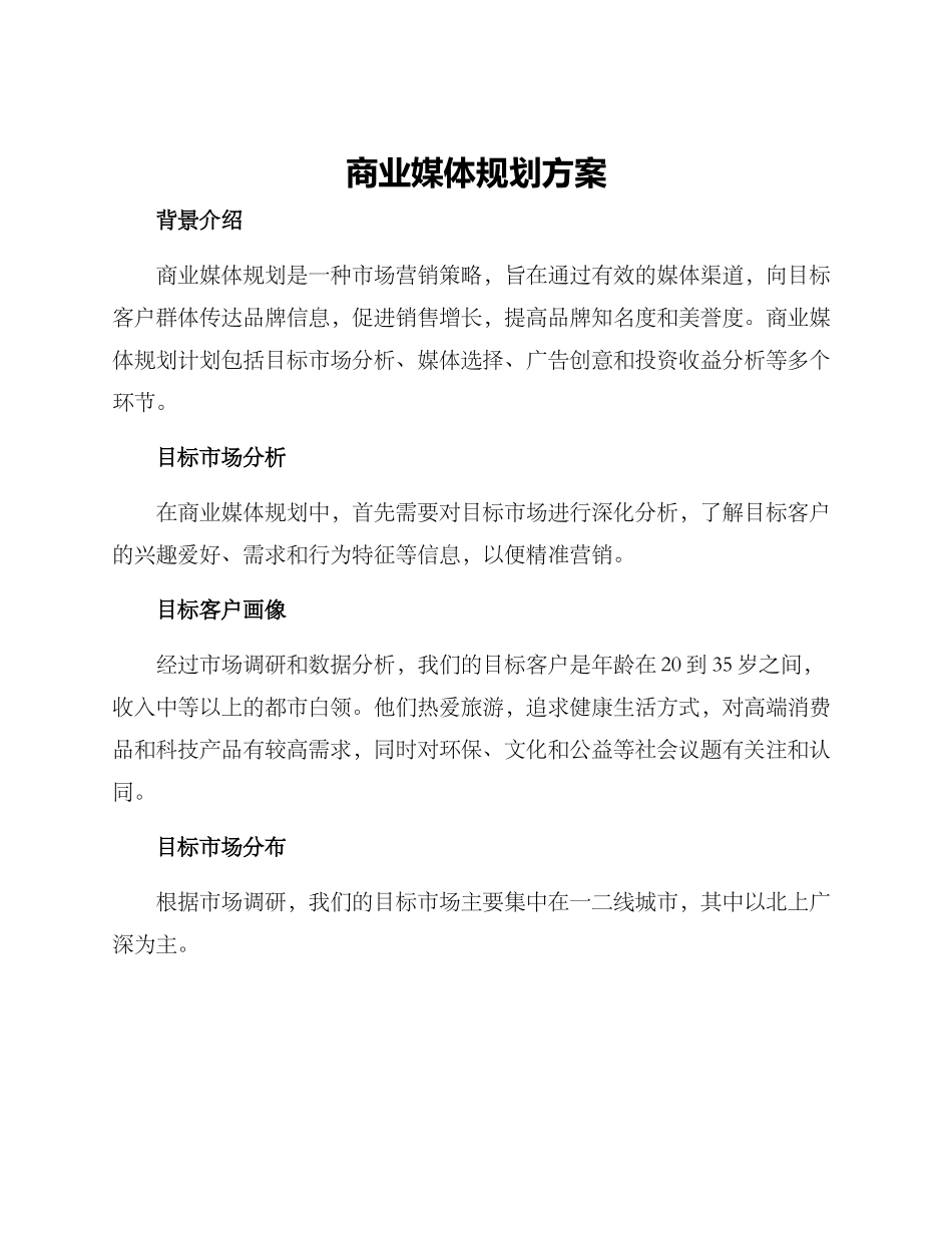 商业媒体规划方案_第1页