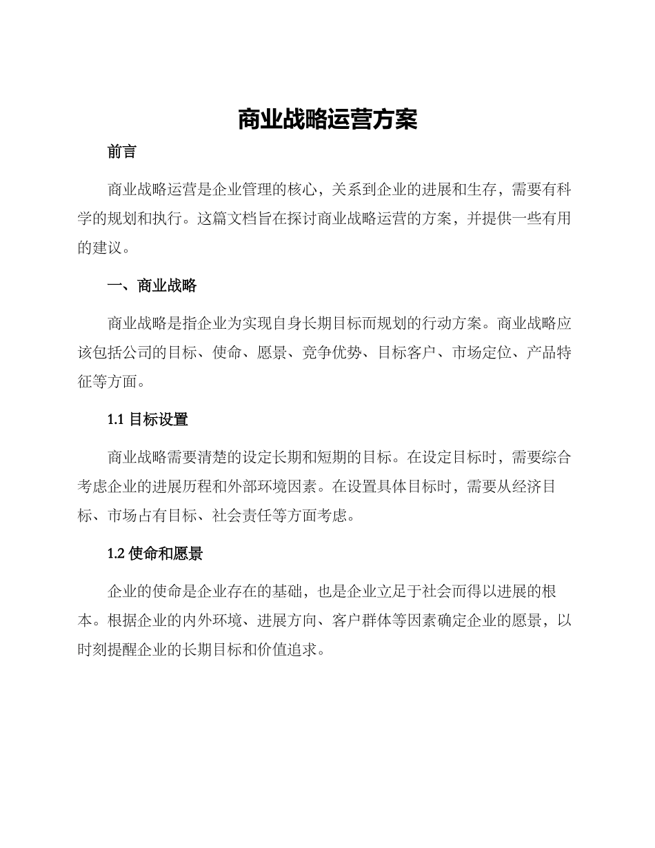 商业战略运营方案_第1页