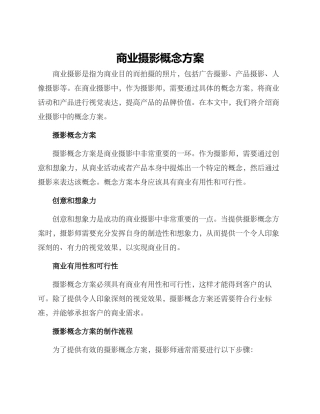 商业摄影概念方案