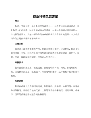 商业种植包菜方案