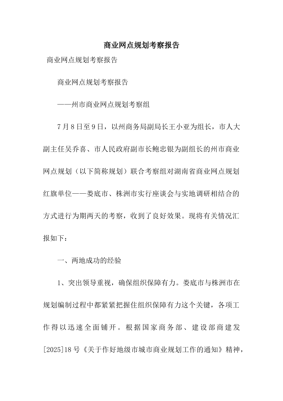 商业网点规划考察报告_第1页