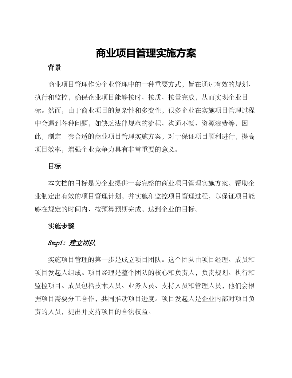 商业项目管理实施方案_第1页