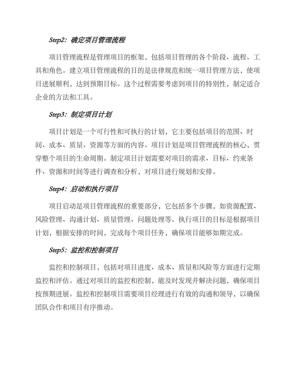 商业项目管理实施方案_第2页