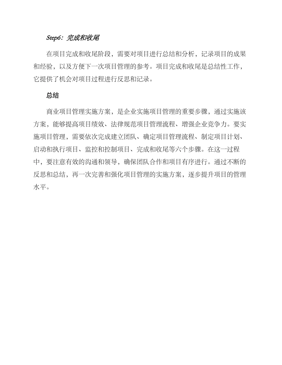 商业项目管理实施方案_第3页