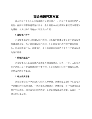 商企市场开发方案