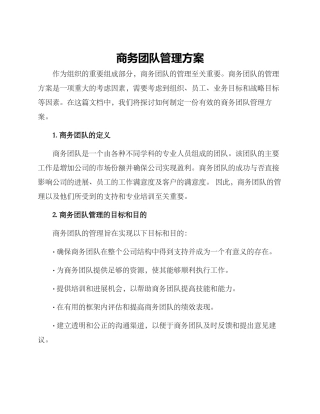 商务团队管理方案