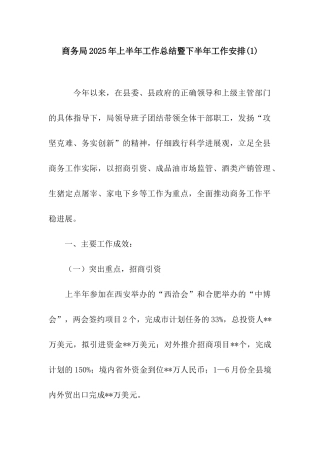 商务局2025年上半年工作总结暨下半年工作安排