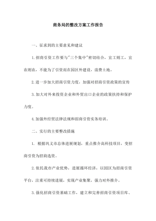 商务局的整改方案工作报告