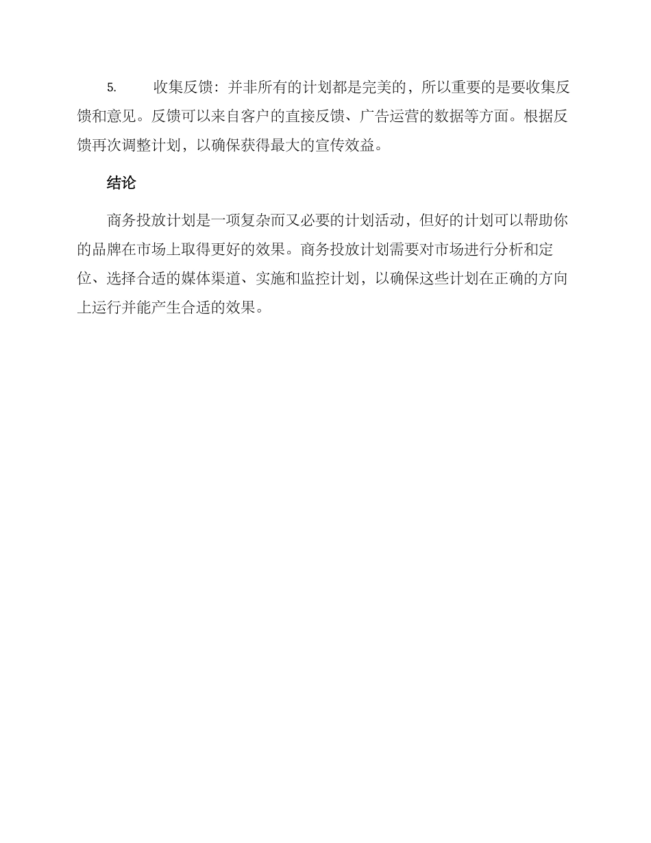 商务投放计划方案_第3页