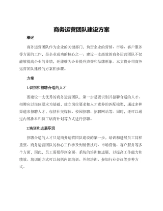 商务运营团队建设方案
