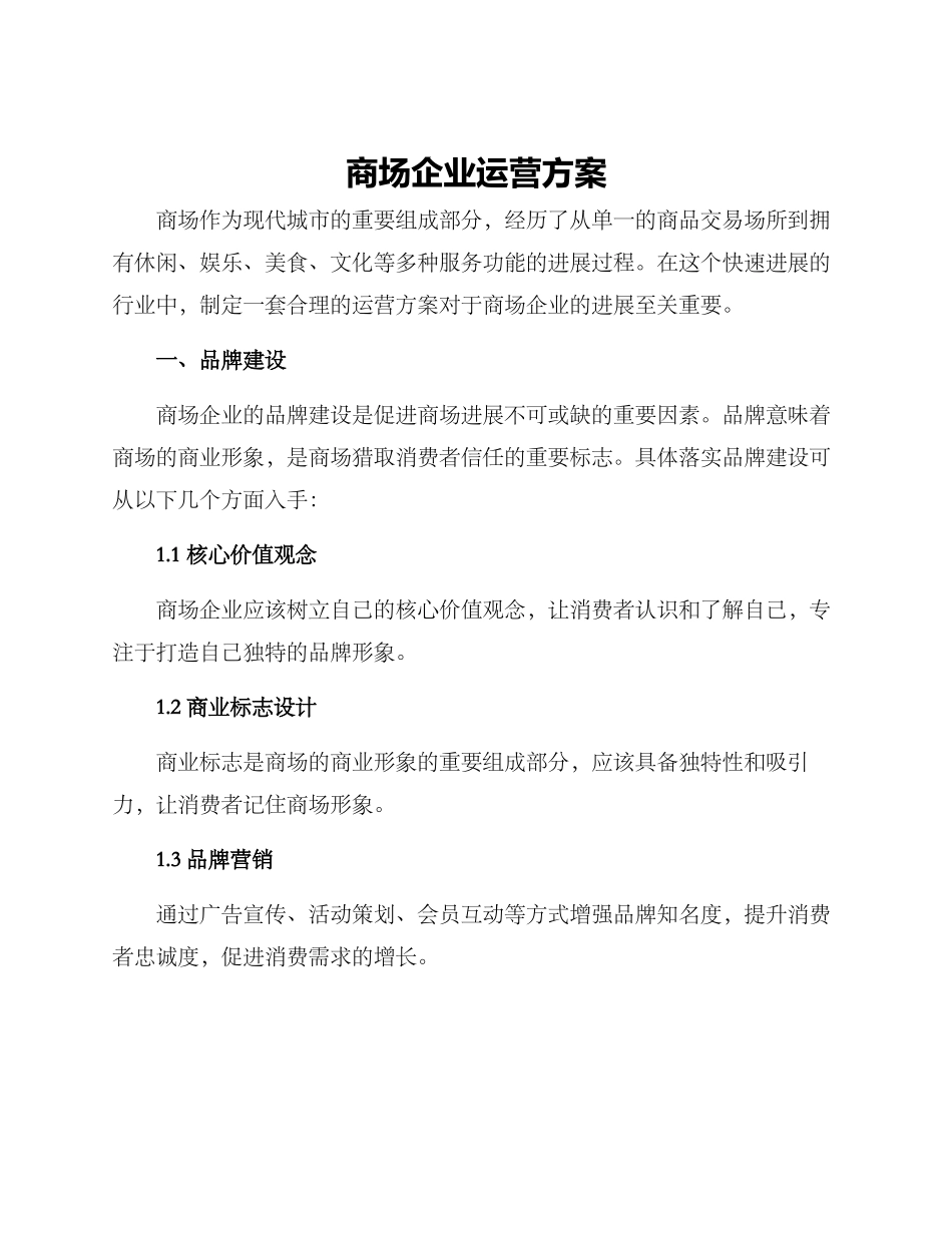 商场企业运营方案_第1页