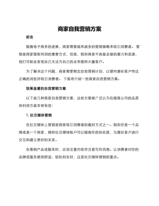 商家自我营销方案