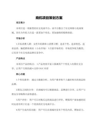 商机项目策划方案