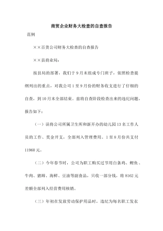 商贸企业财务大检查的自查报告