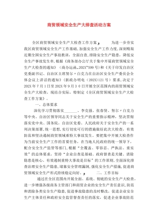 商贸领域安全生产大排查活动方案