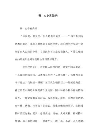 啊!实小真美好!-4