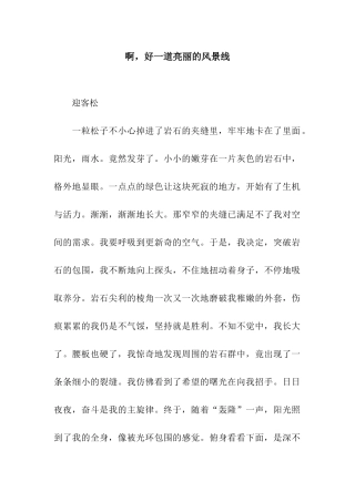 啊-好一道亮丽的风景线