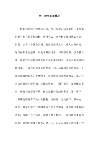 啊-故乡的杨槐花