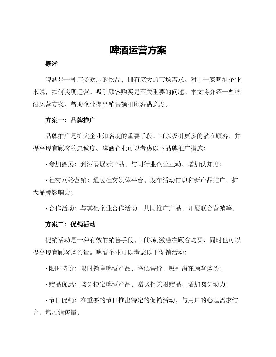 啤酒运营方案_第1页