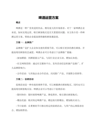 啤酒运营方案